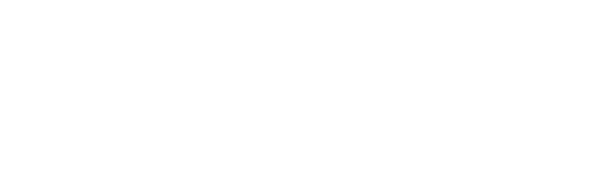 Vienna Fight Night